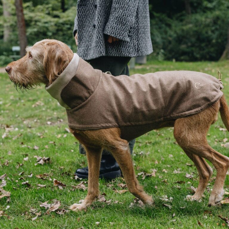 Hundemantel 'Brooklyn Flanell', Cloud7