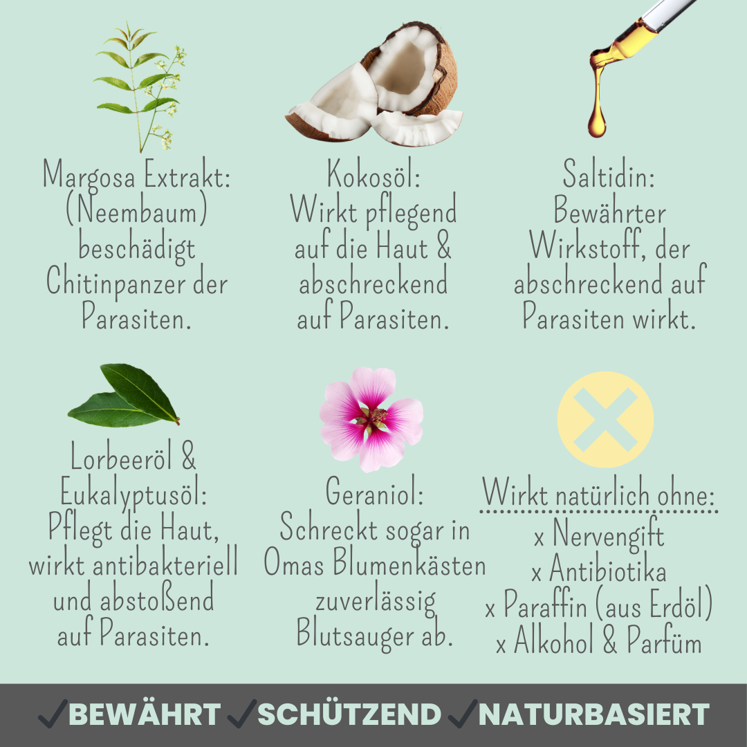 Zpray für Hunde gegen Zecken, Flöhe, Milben & Mücken