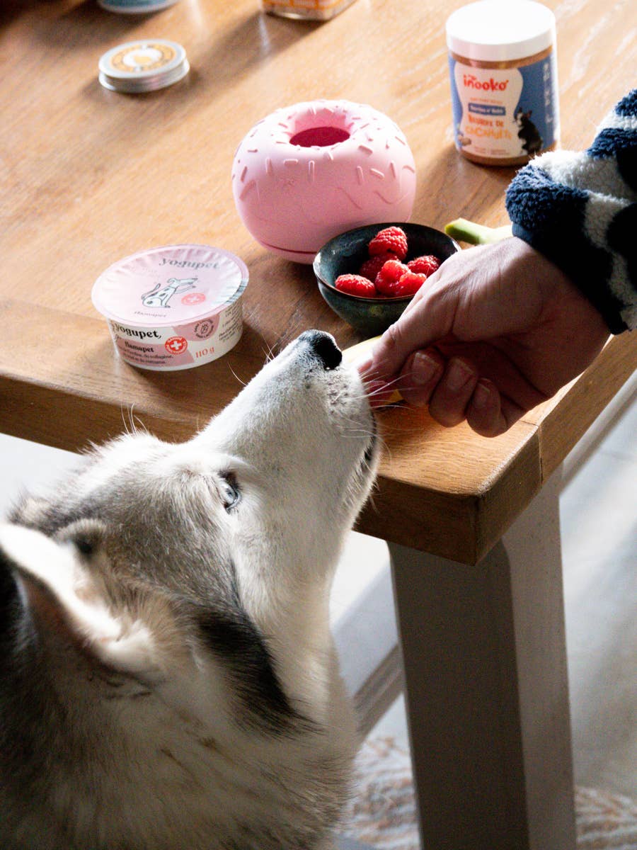 Beschäftigungsspielzeug für Hunde - Yoomy Donut - Rosa