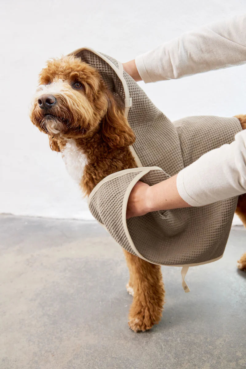 Hundehandtuch Nobs, Palopa