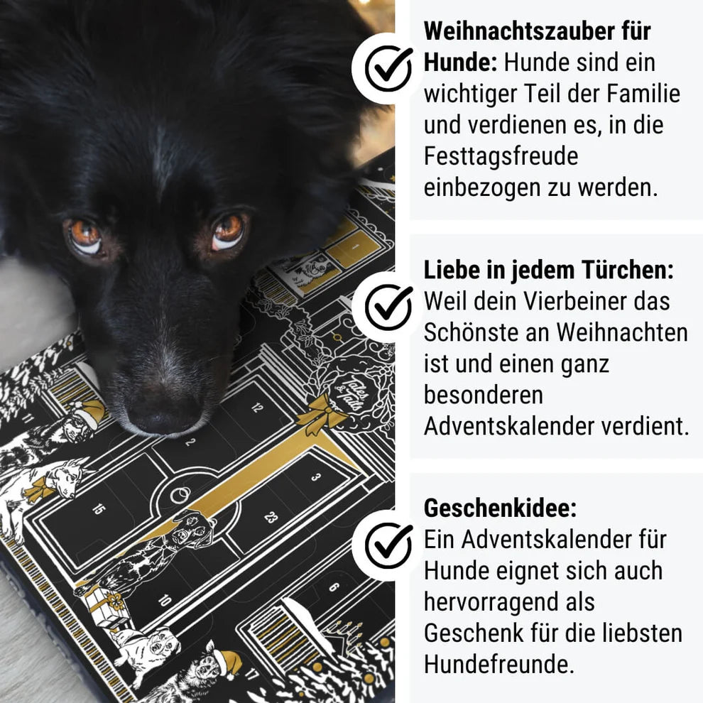 Adventskalender, Tales&Tails