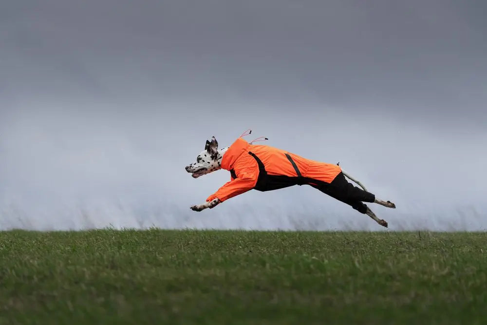 Fjord Overall Raincoat, Non-stop dogwear