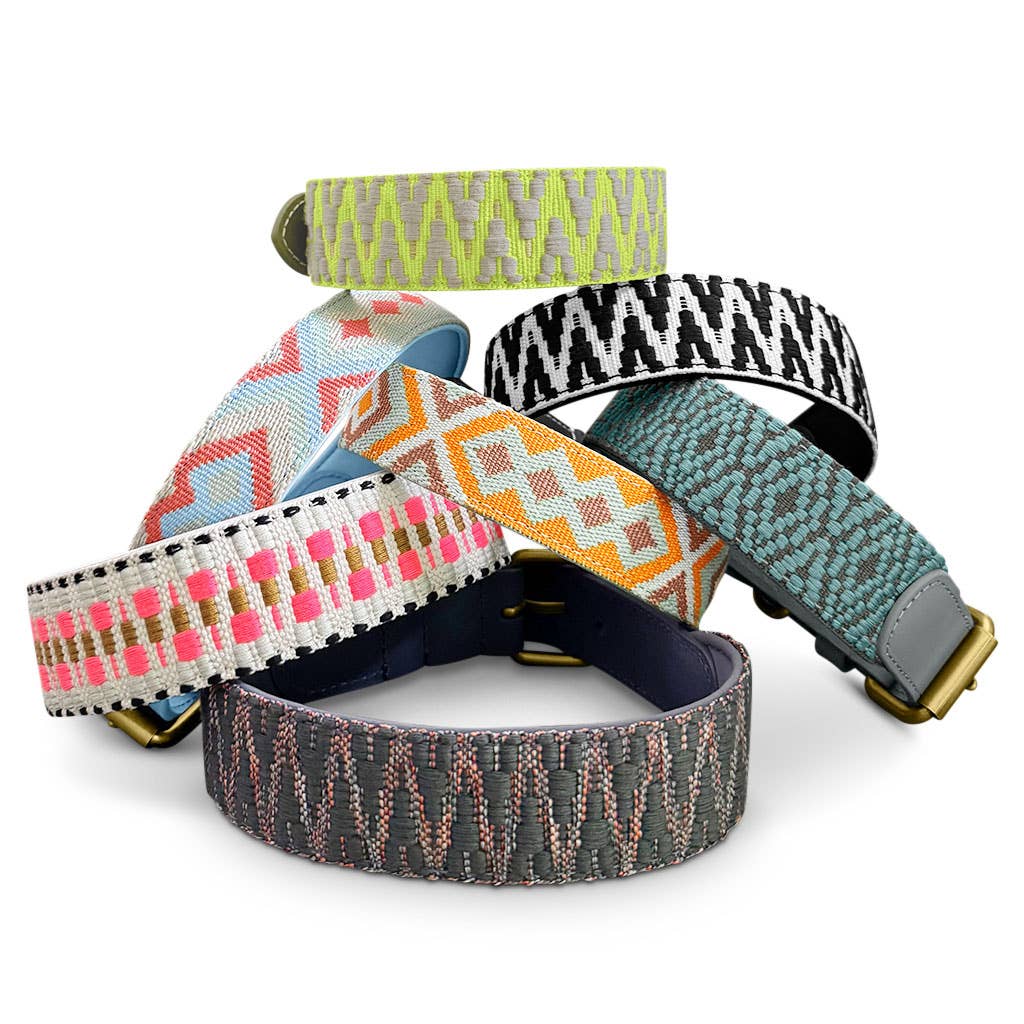 Premium Hundehalsband Gepolstert