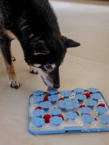 Yoomy Daisy - Beschäftigungs- und Leckmatte für Hunde - Lavendel