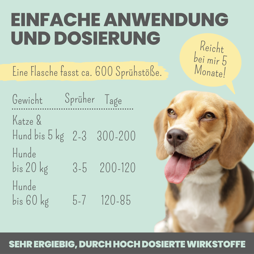 Dental-Spray bei Zahnstein für Hunde und Katzen