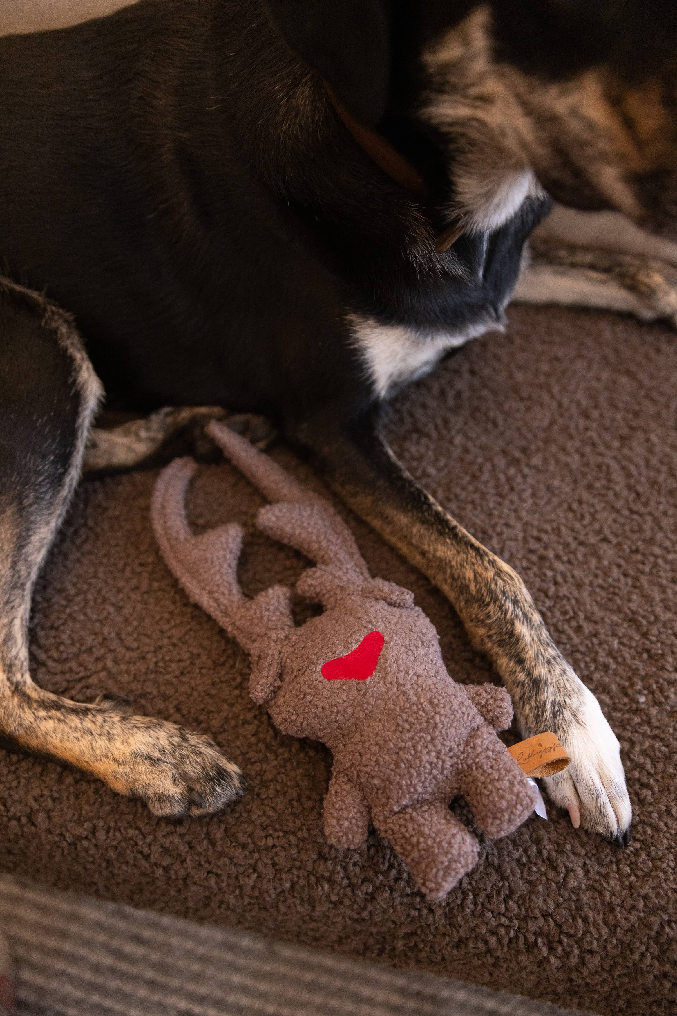 Spielzeug Elch Elmo - handgefertigt, Lieblingspfote