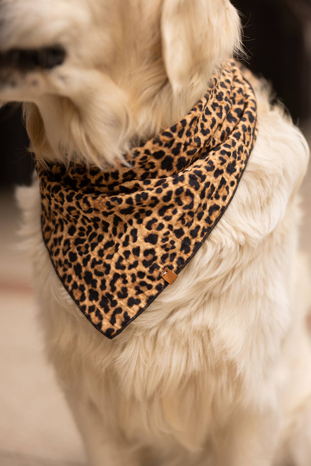 Halstuch "Leo" Black, Lieblingspfote