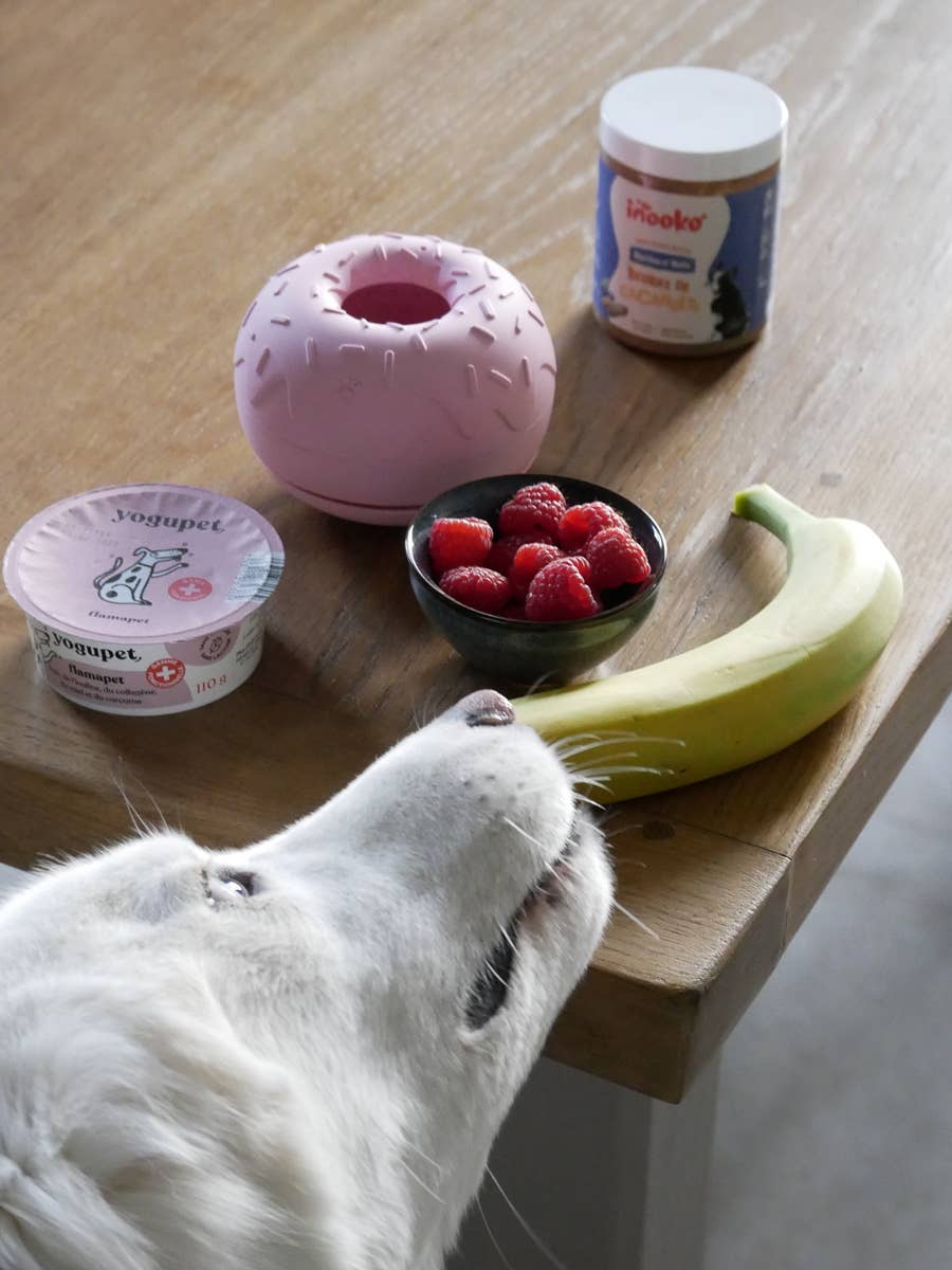 Beschäftigungsspielzeug für Hunde - Yoomy Donut - Rosa