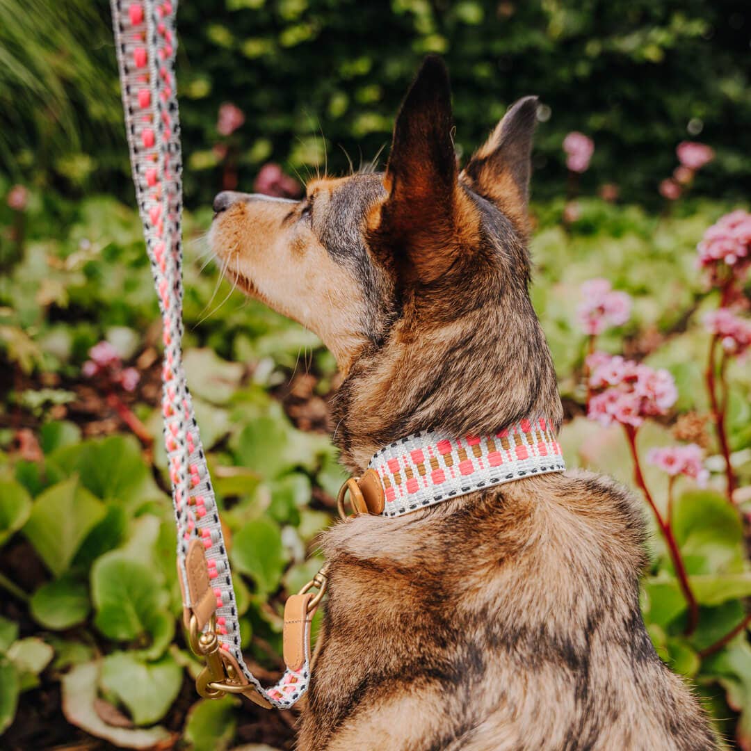 Premium Hundeleine - 3-fach verstellbar - 2m - Pink/Beige