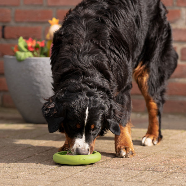Schleckmatte UFO, LickiMat