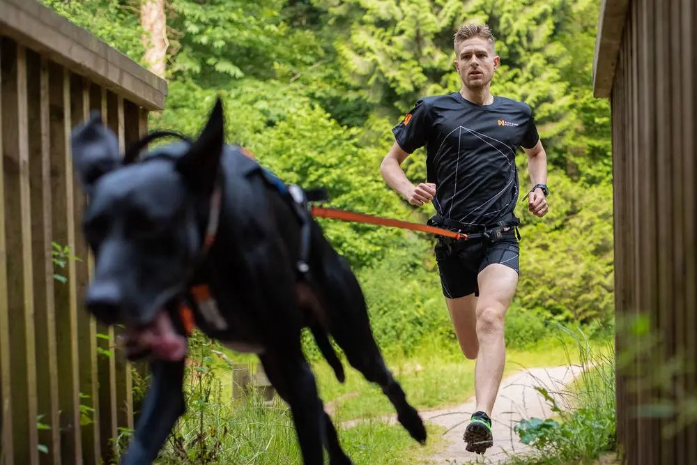 Zugleine 'Bungee Leash', Non-stop Dogwear