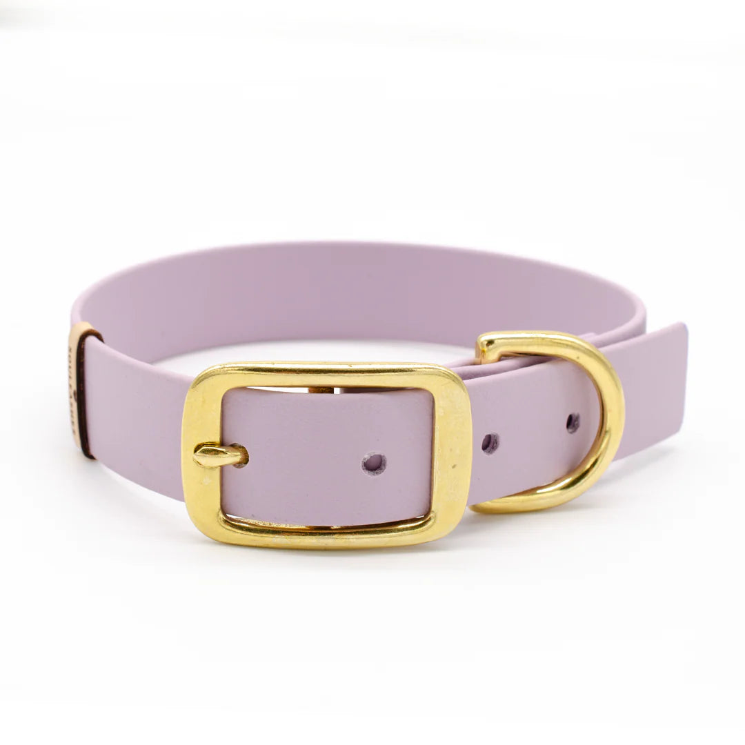 Halsband Biothane mit Lederhaptik, Souleashes