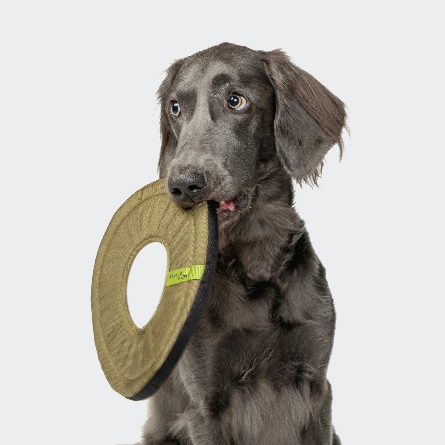 Dog Toy Frisbee Aktiv Khaki, Cloud7