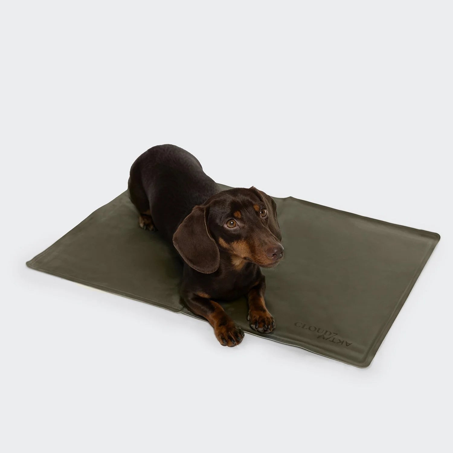 Hundekühlmatte AKTIV Dark Olive, Cloud7