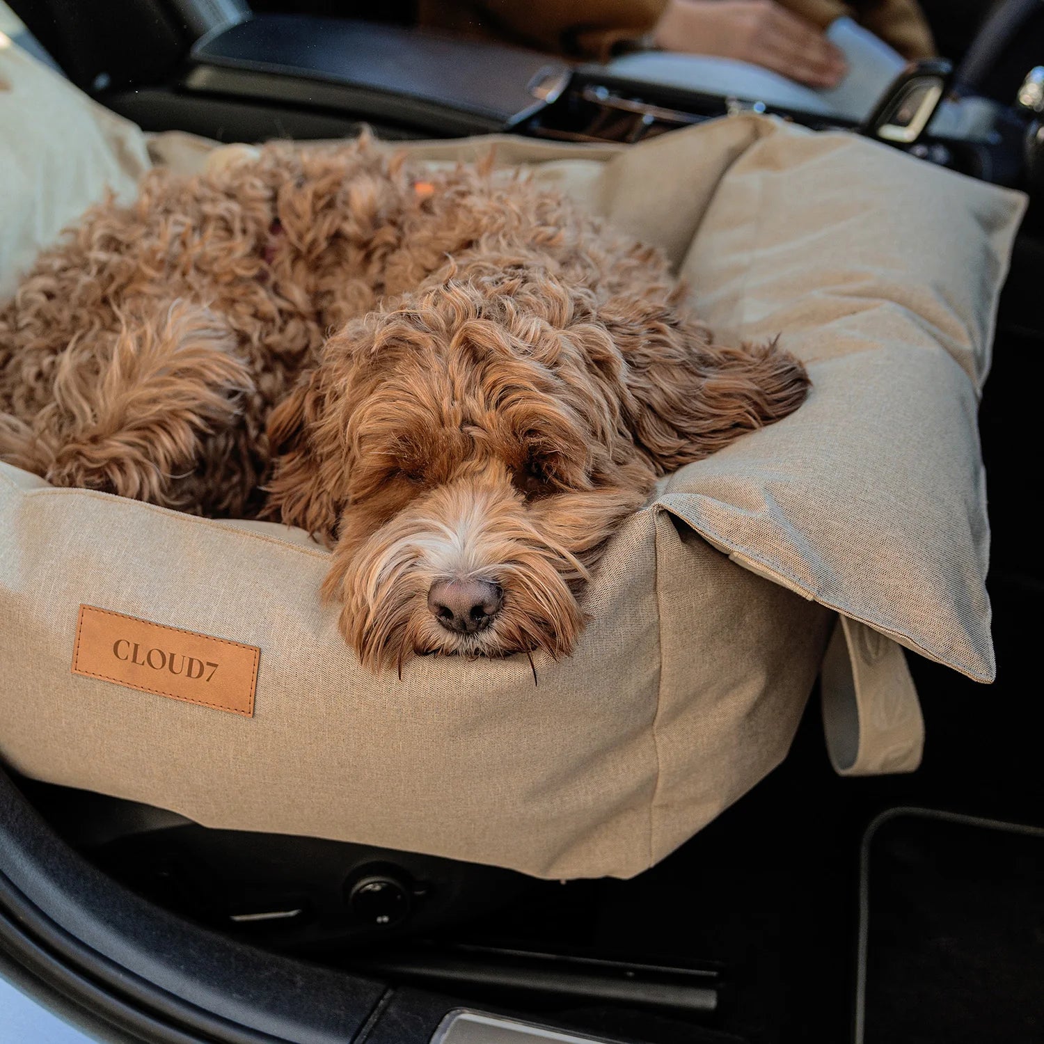 Hundeautositz Getaway tragbar, Cloud7