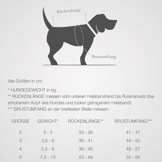 Hundemantel 'Brooklyn Dackel Flanell', Cloud7