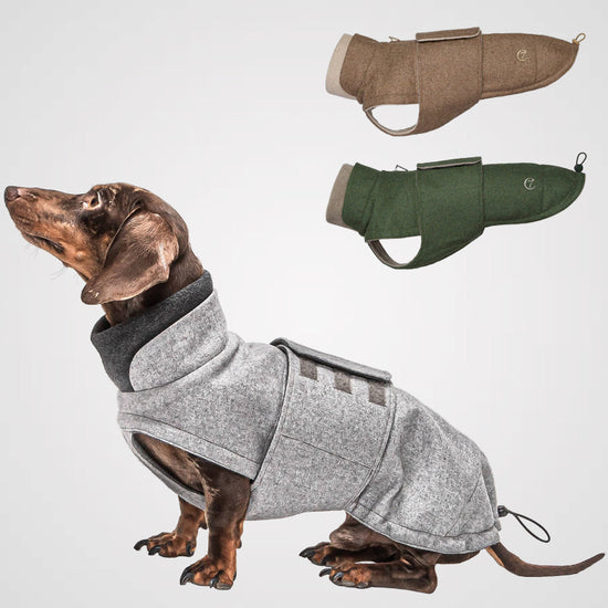 Hundemantel 'Brooklyn Dackel Flanell', Cloud7