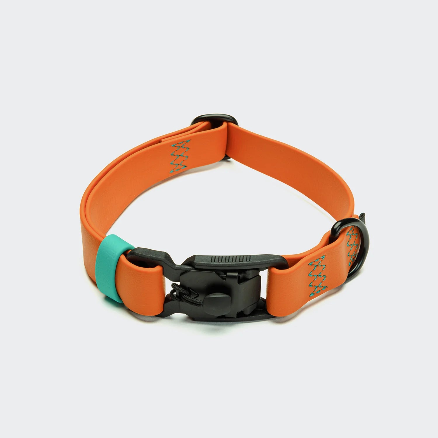 Dog Collar Ipanema, Cloud7