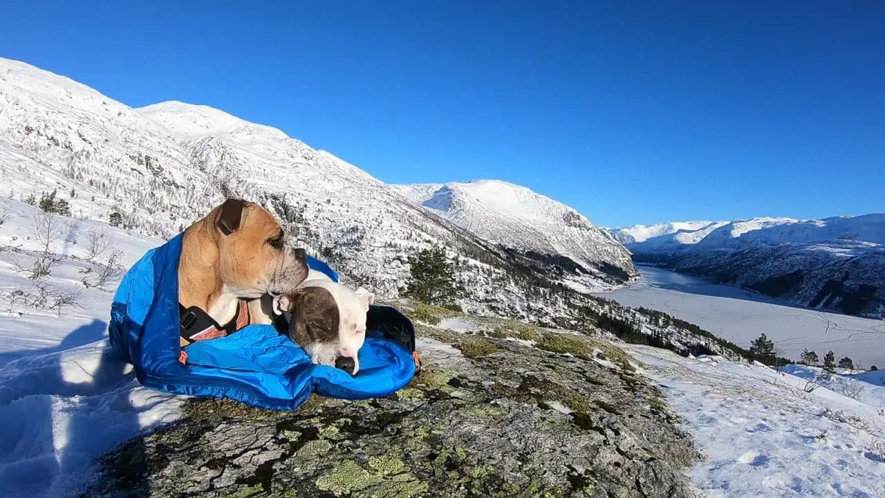 Ly Sleeping Bag, Non-stop dogwear