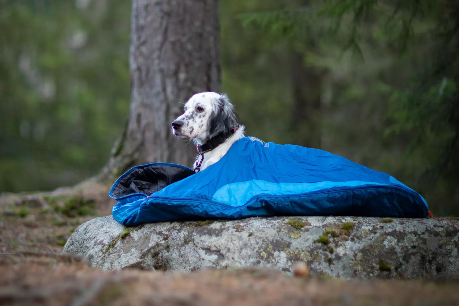 Ly Sleeping Bag, Non-stop dogwear