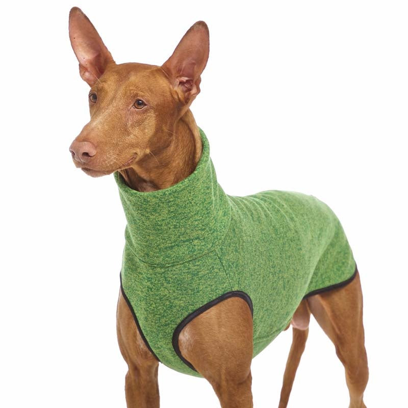 Hundepullover Hachico Jumper, Sofadogwear