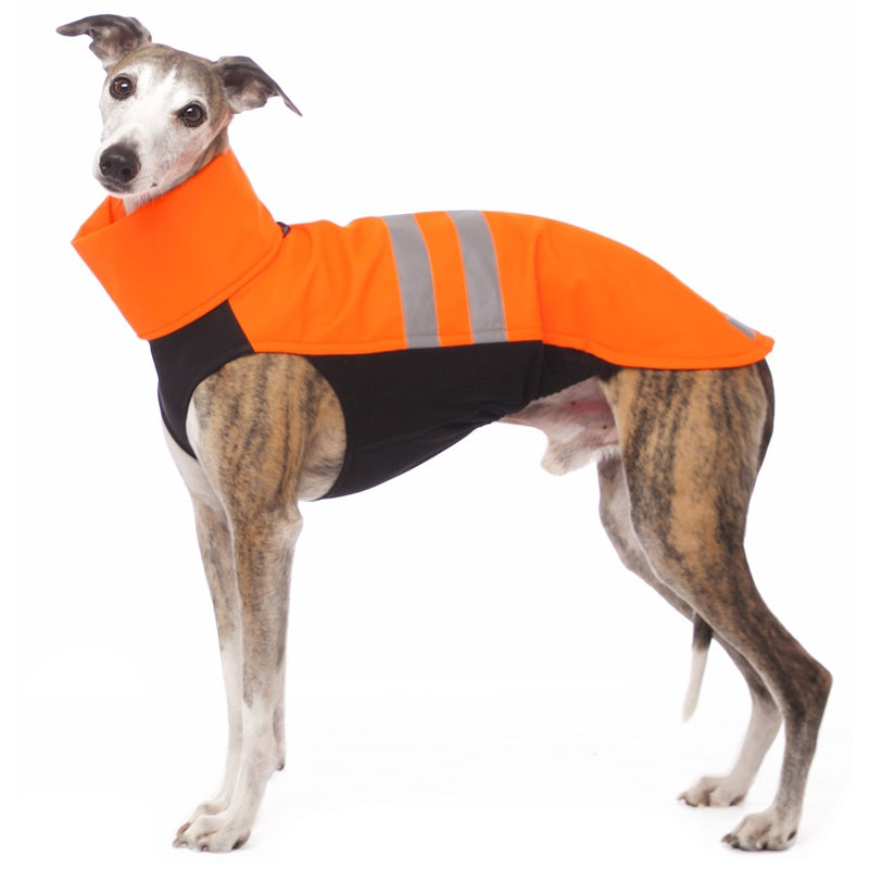 Hundepullover 'Hachico NEON', SofaDogwear