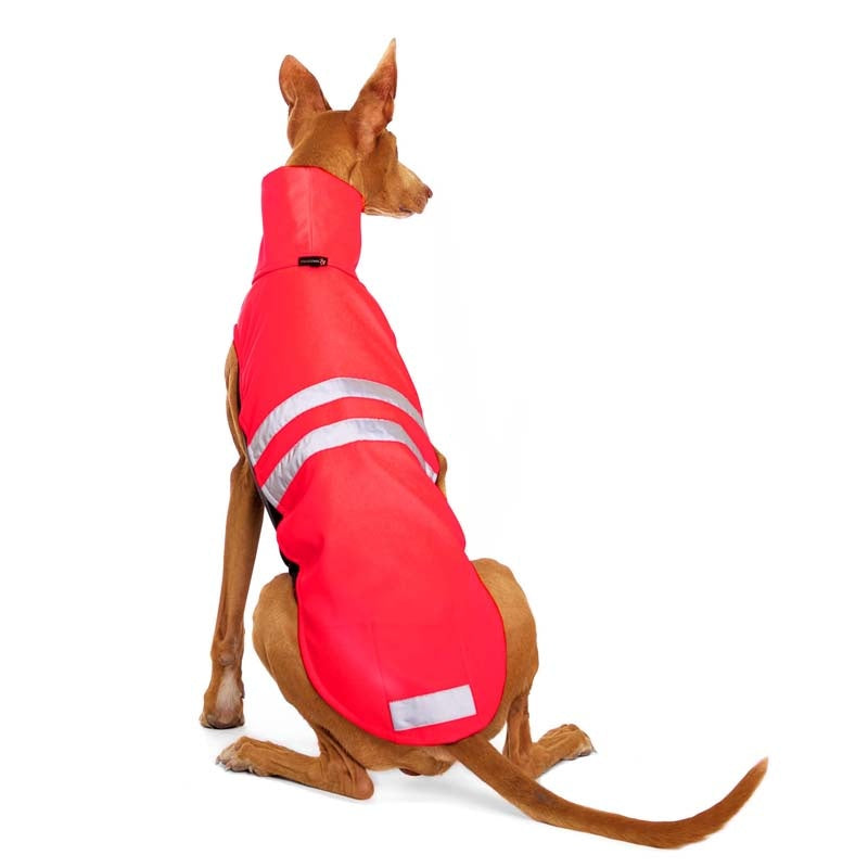 Hundepullover 'Hachico NEON', SofaDogwear