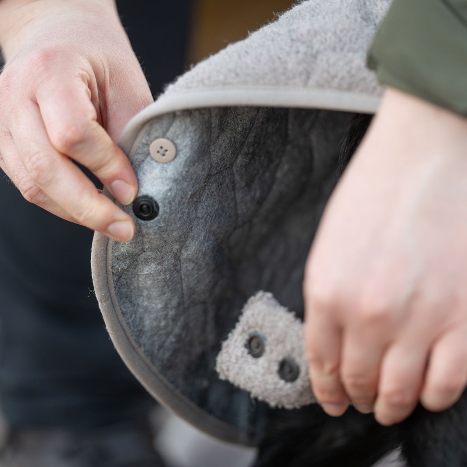 Drying coat, non-stop dogwear