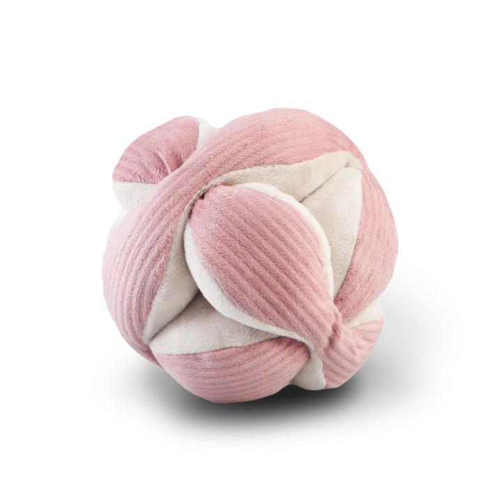 Monti Kord, Schnüffelball