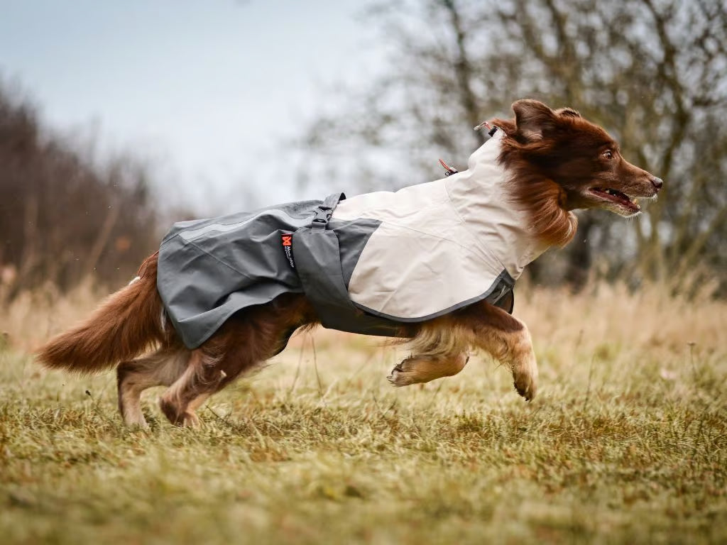 Fjord Raincoat 2.0, Non-stop dogwear