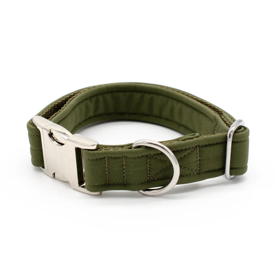 Halsband, Softshell, Souleashes, 1,5 cm breit