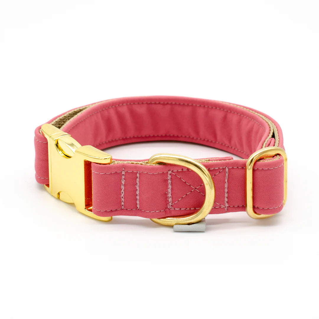 Halsband, Softshell, Souleashes, 1,5 cm breit