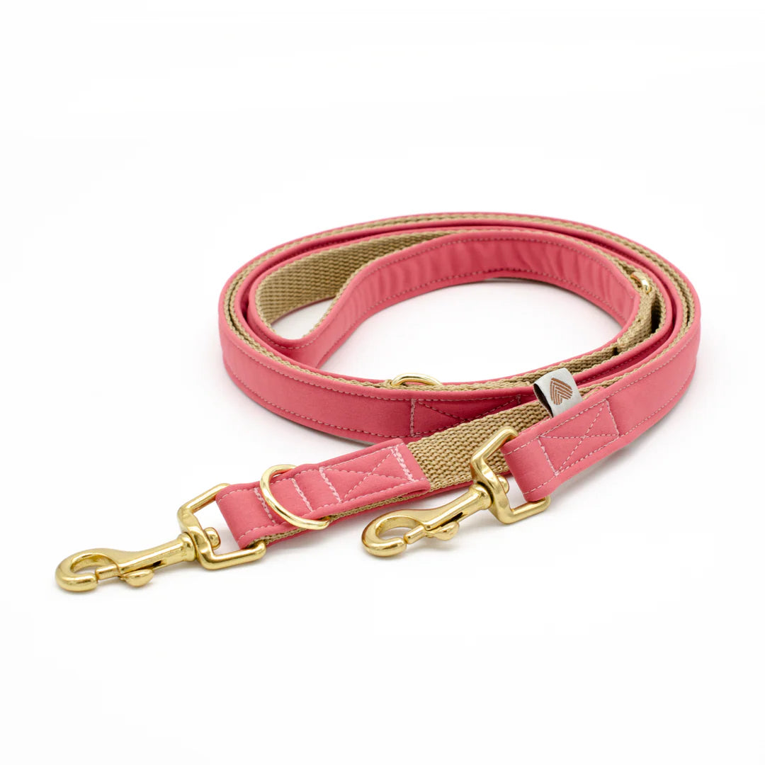 Hundeleine Softshell, Souleashes