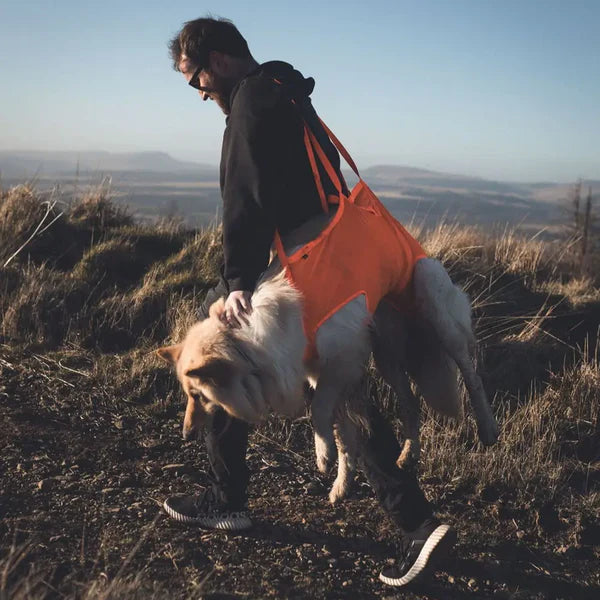 Dog rescue sling, non-stop dogwear