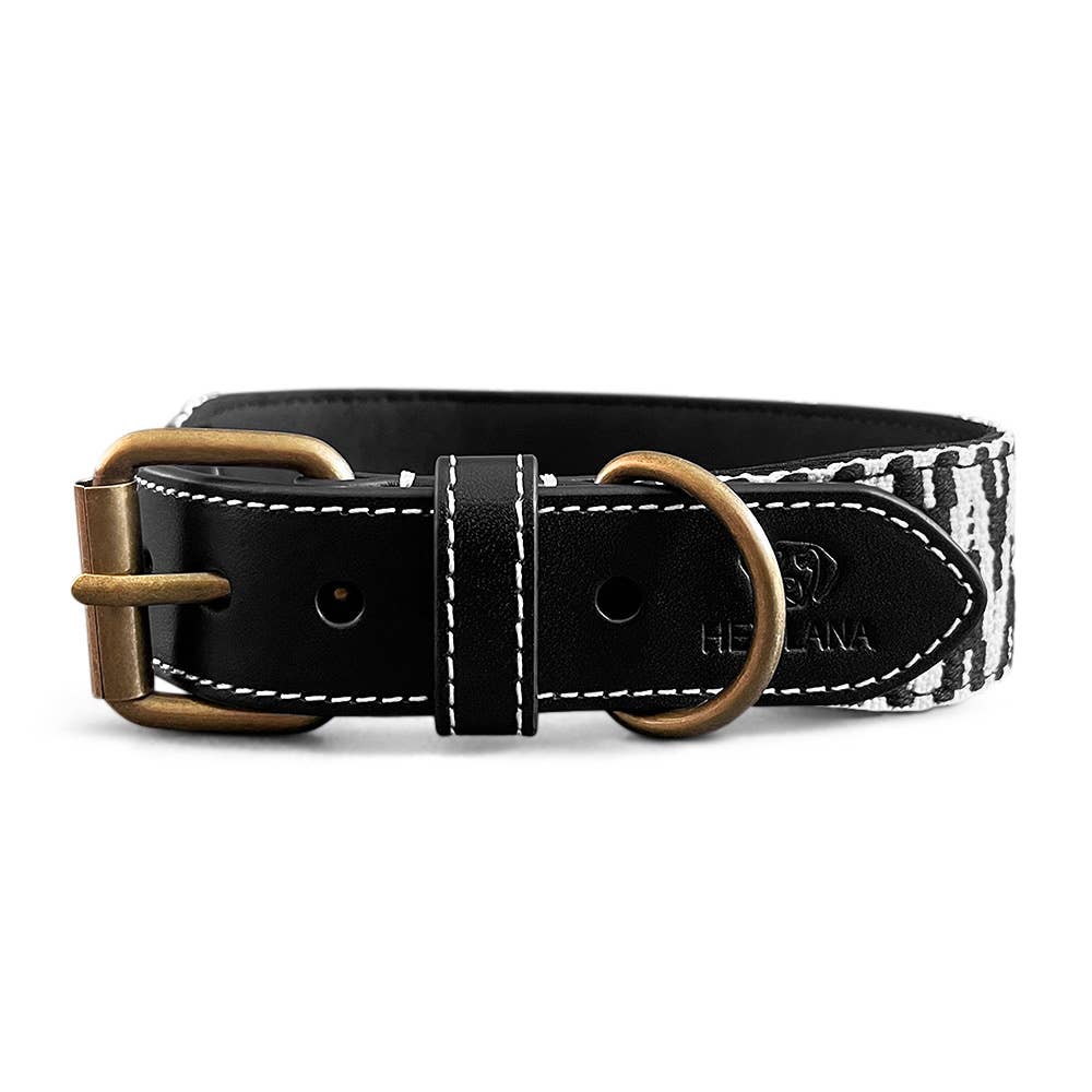 Premium Hundehalsband Gepolstert