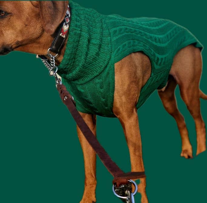 Hundepullover SMARTY GRÜN 100 % Merinowolle   