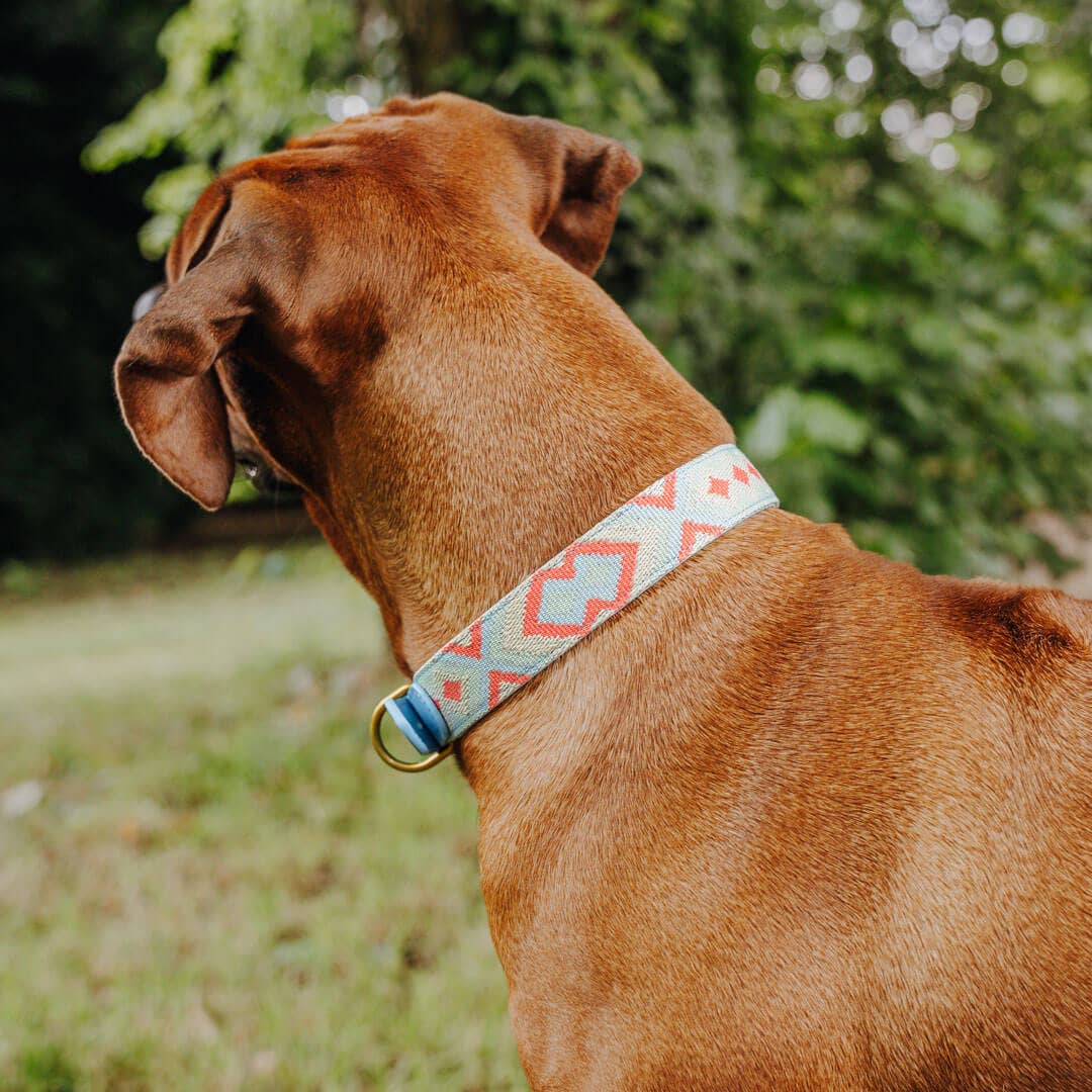 Premium Hundehalsband Gepolstert
