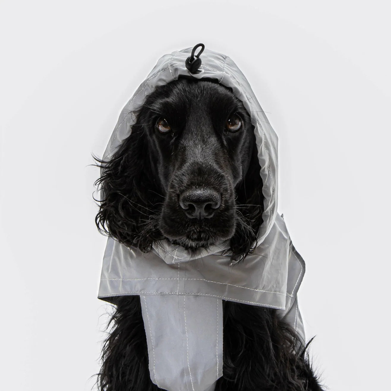 Hunderegenmantel 'Berlin', vollreflektierend, Cloud7