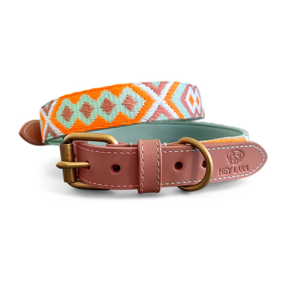 Premium Hundehalsband Gepolstert