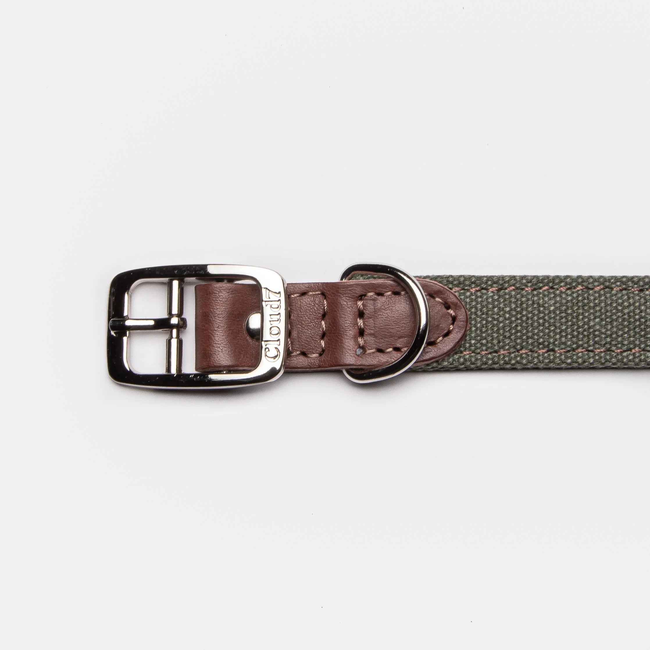 Dog Collar Tivoli, Cloud7