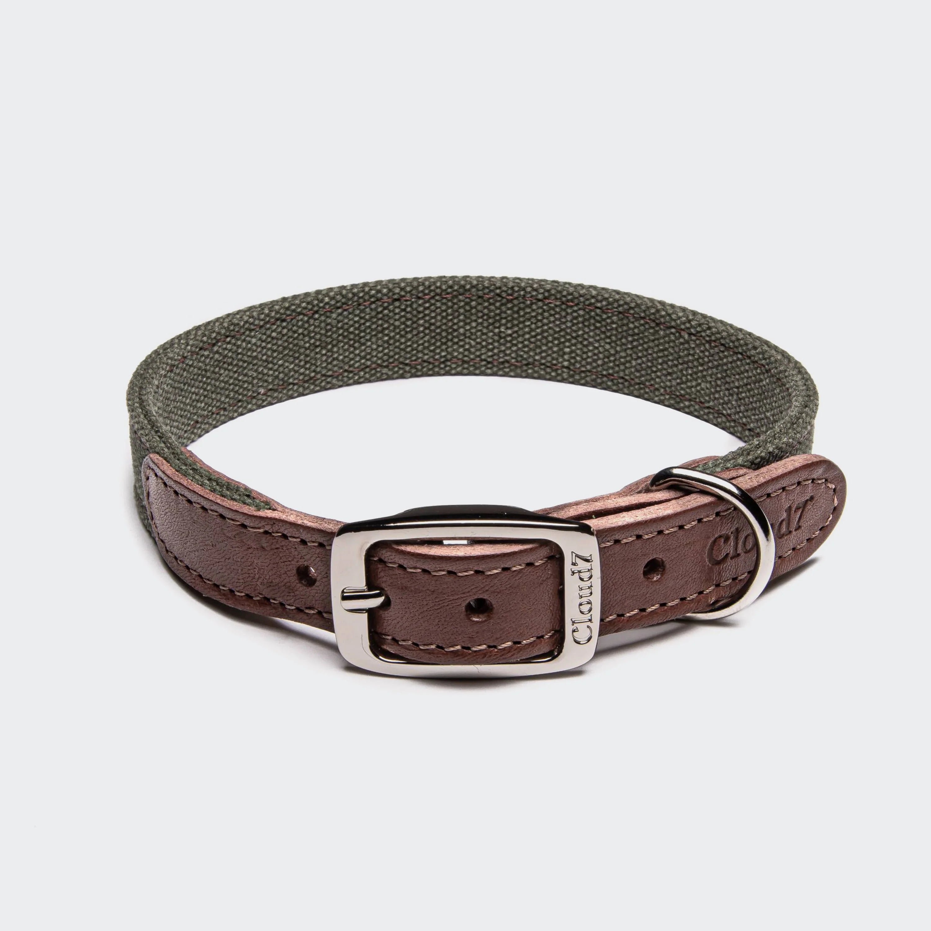 Dog Collar Tivoli, Cloud7