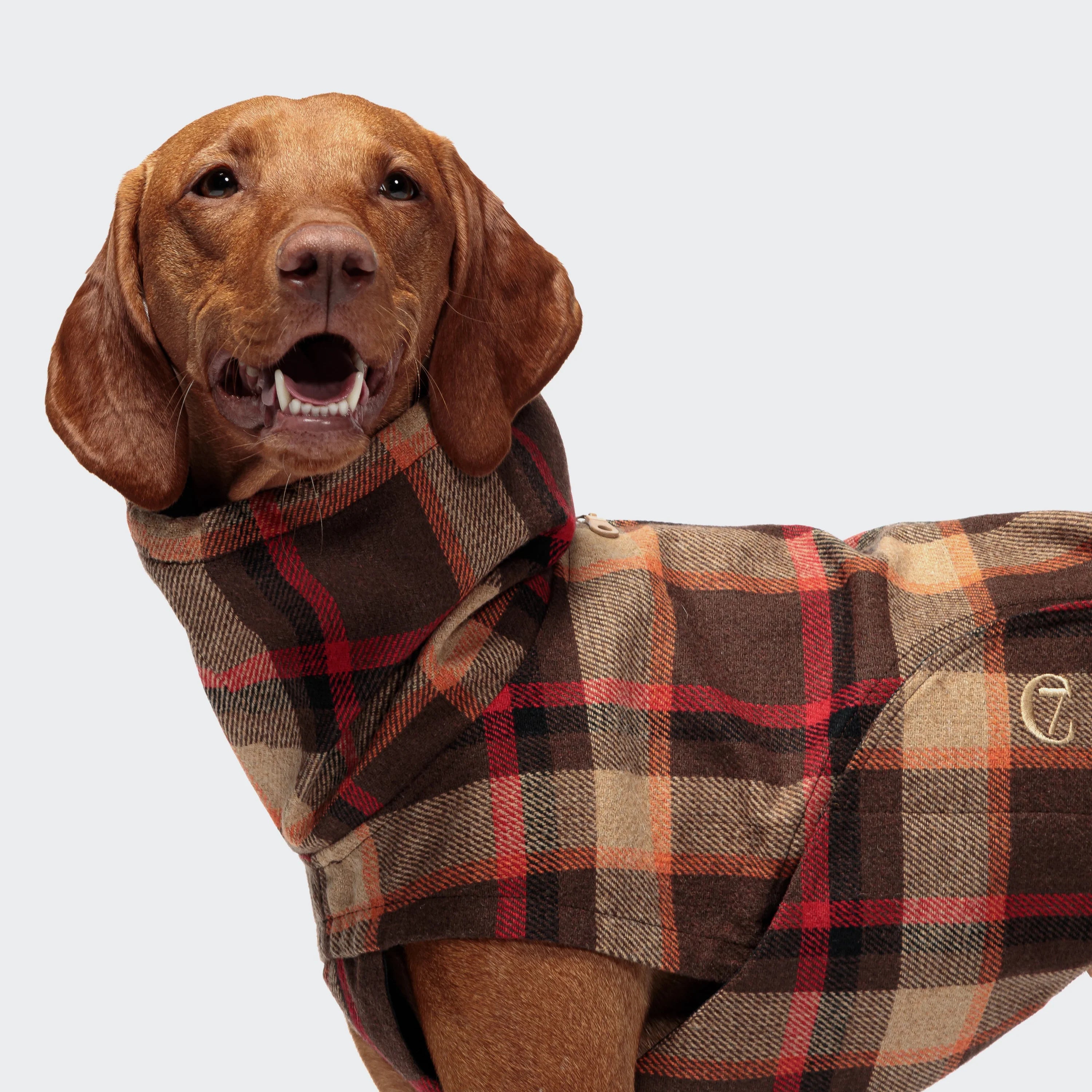 Hunderegenmantel Glasgow Orange, Cloud7