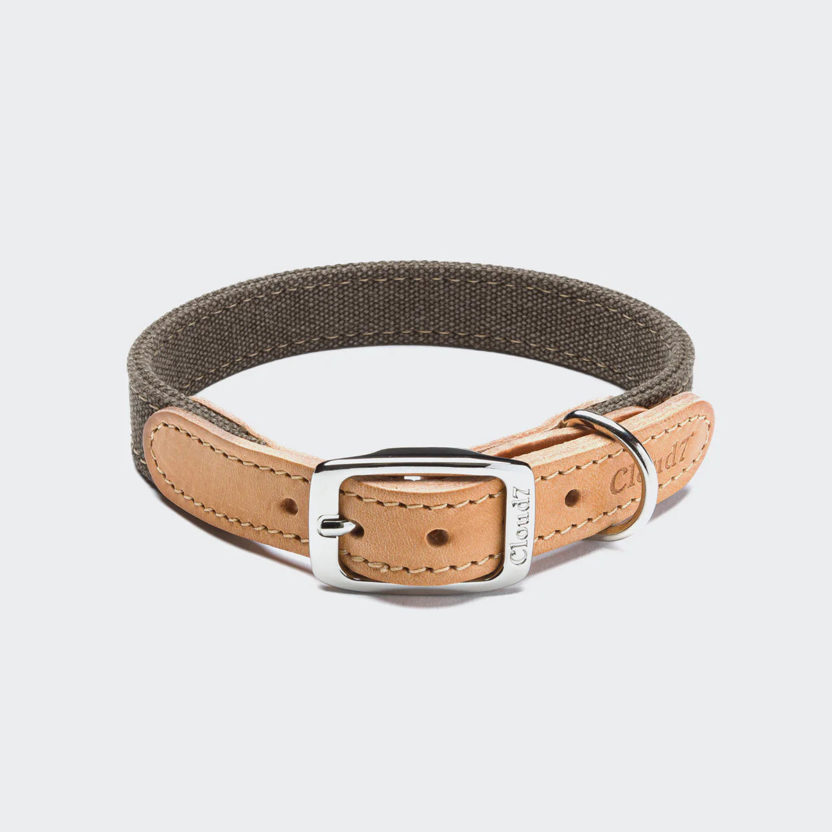 Dog Collar Tivoli, Cloud7