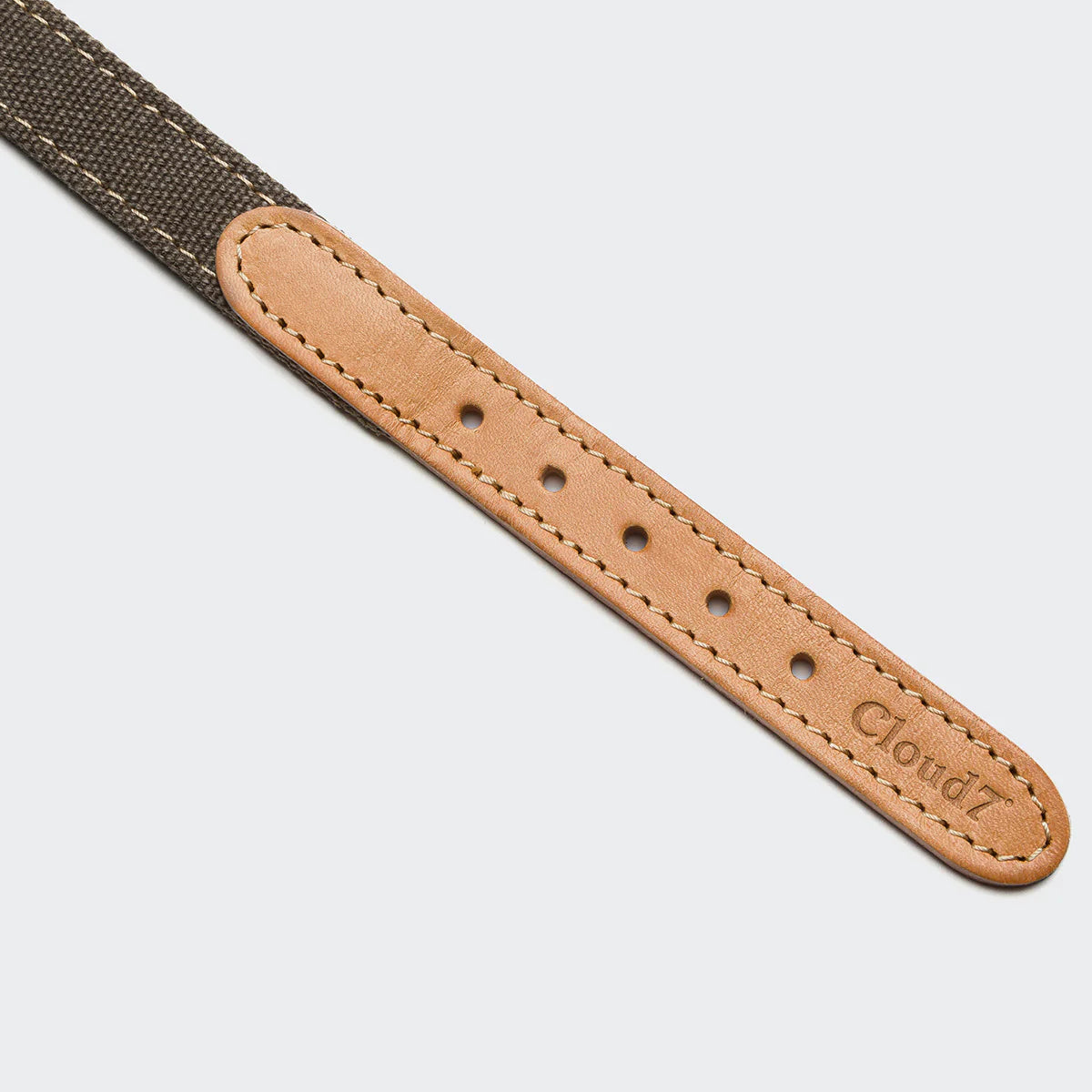 Dog Collar Tivoli, Cloud7