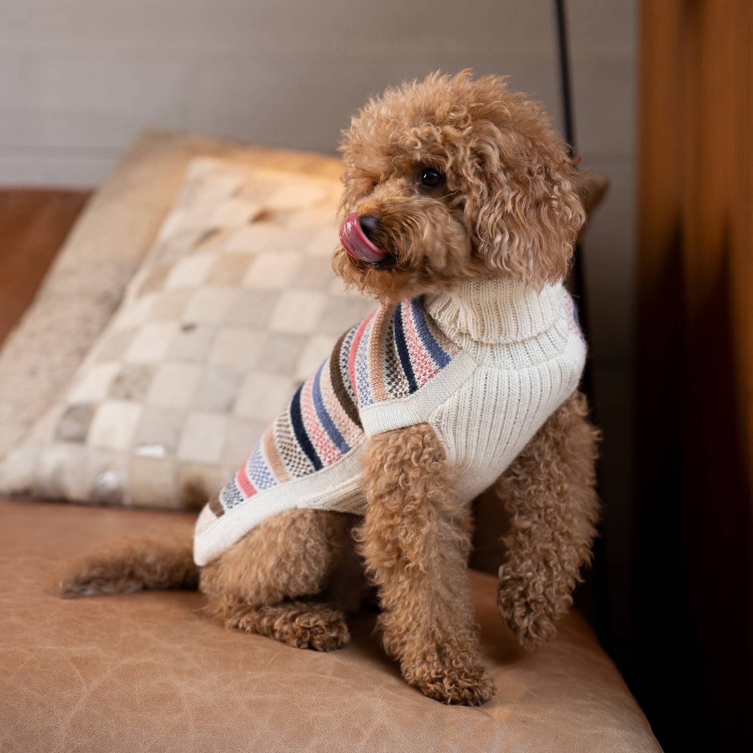 Blushline Streifen Alpaka Hundepullover