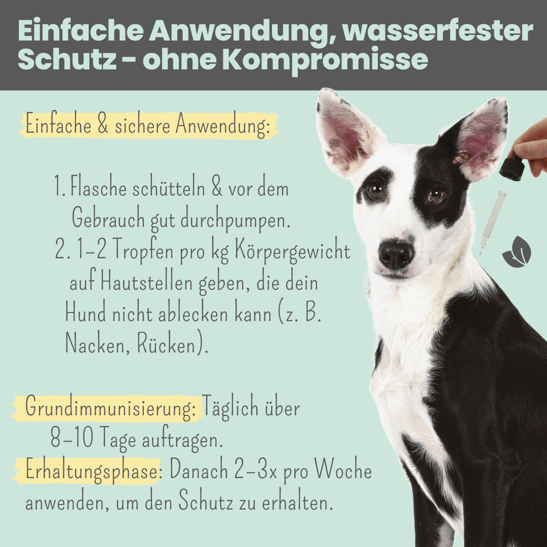 Wasserfestes Zpot-on für Hunde gegen Zecken, Flöhe, Milben & Mücken
