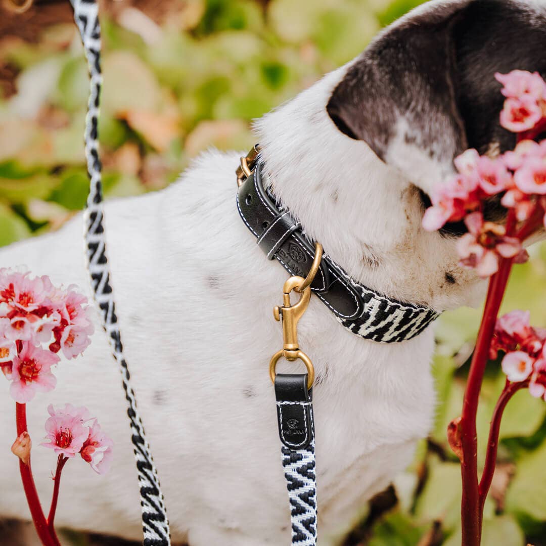 Premium Hundeleine - 3-fach verstellbar - 2m - Schwarz