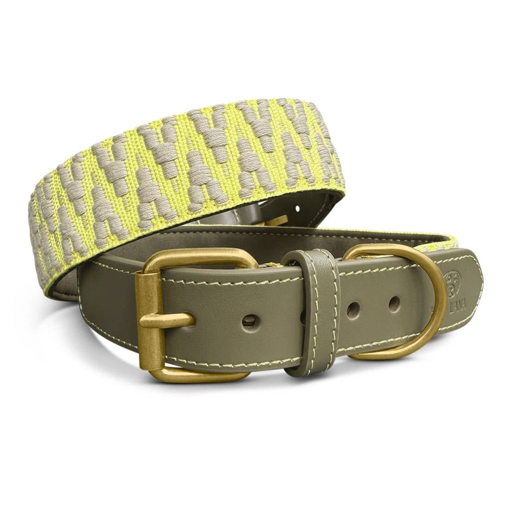 Premium Hundehalsband Gepolstert