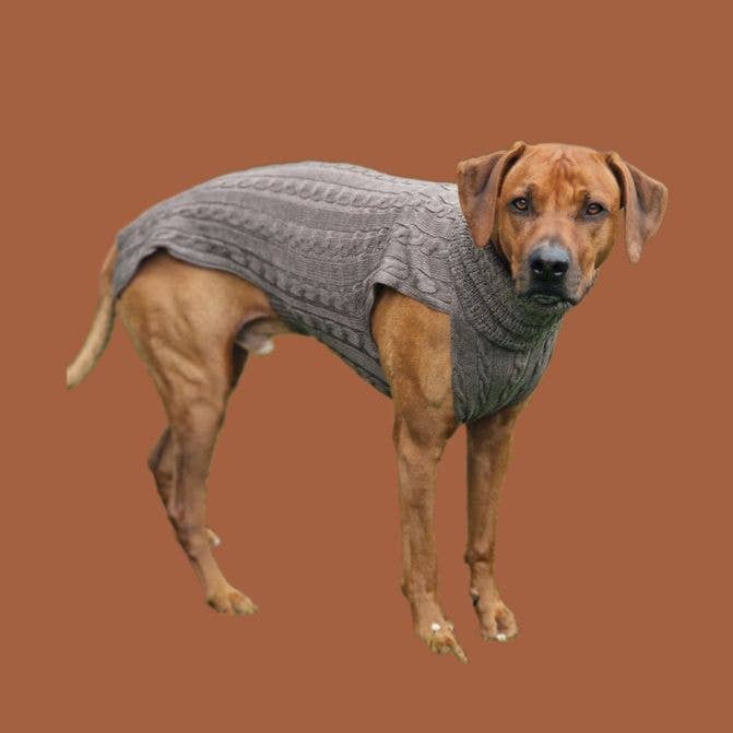 Hundepullover SMARTY Hazelnut 100 % Merinowolle  