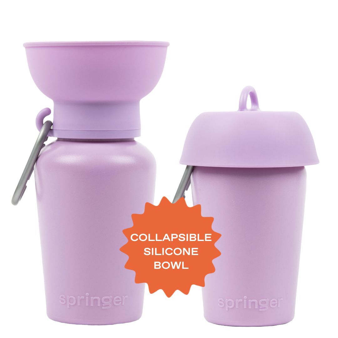 Springland Hundereise-Trinkflasche 591 ml (20 oz) mit Klappverschluss